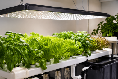 led grow lights