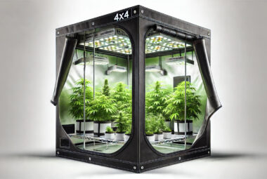 4x4 grow tent
