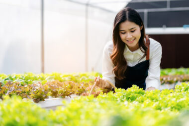 hydroponic grow system