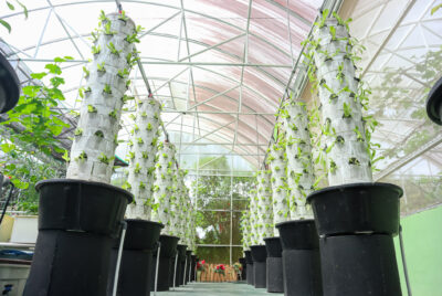 hydroponic tower