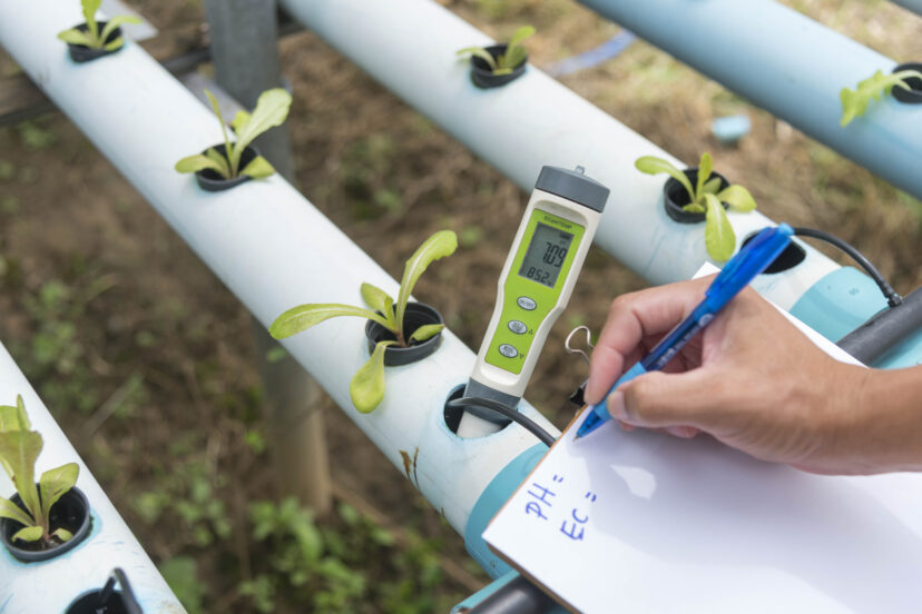 hydroponic nutrients