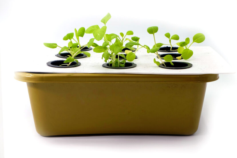 hydroponic growing system