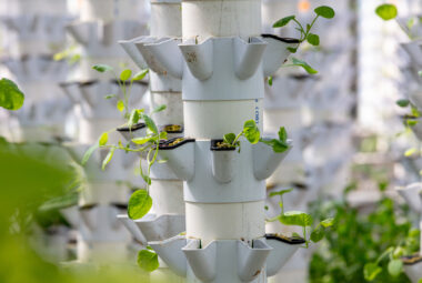 hydroponic garden tower