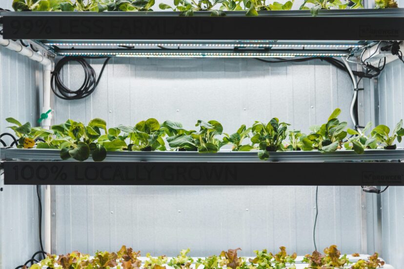indoor hydroponic system