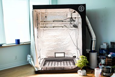 Hydroponic Grow Tent