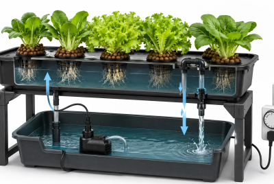 ebb and flow hydroponic system